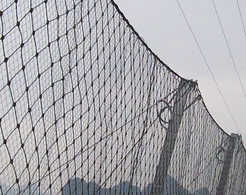 1352b7cb6bef45b.jpg 1352b7cb6bef45b.jpg