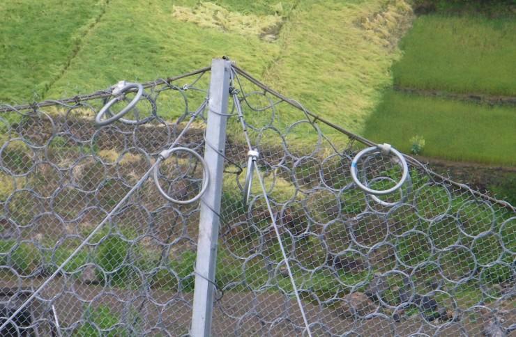 025ͭh(hun)αӷoW(wng)