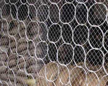 被動環(huán)形防護網(wǎng)施工現(xiàn)場