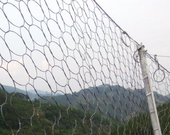 075ͭh(hun)αӷoW(wng)