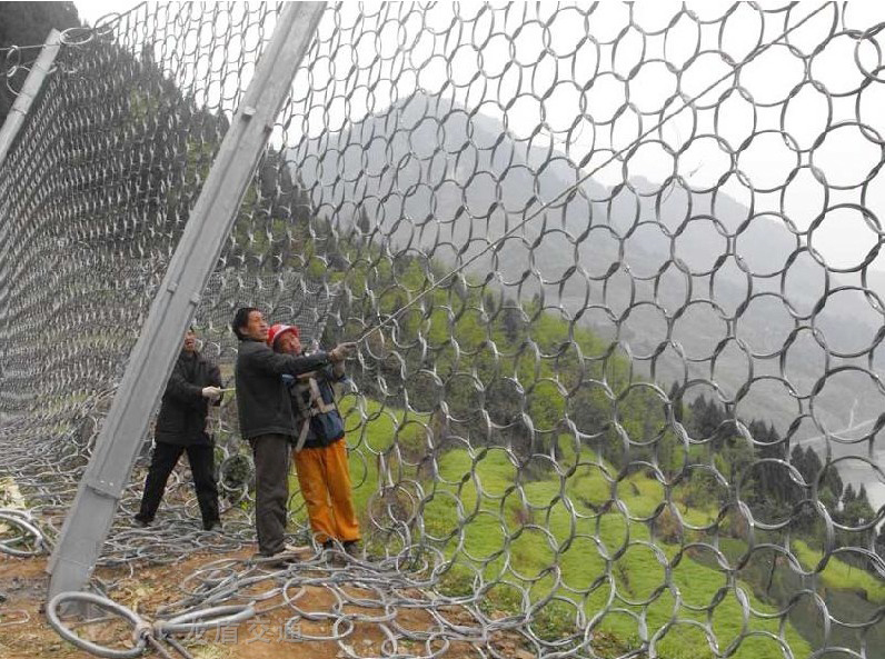 100ͭh(hun)αӷoW(wng)